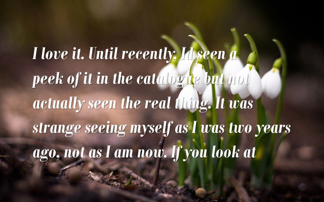 Flowers quote beatrixpotter awe depthofield free wallpaper for desktop - medium preview image