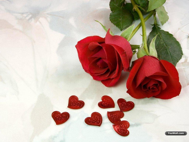 Red roses table hearts romantic #2 free wallpaper for desktop - medium preview image