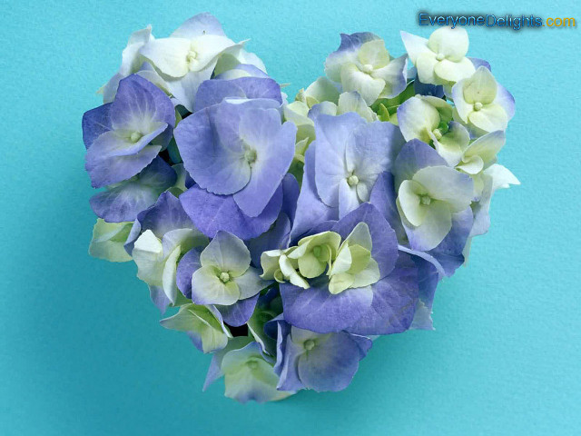 Heart shaped blue white flowers free wallpaper for desktop - medium preview image