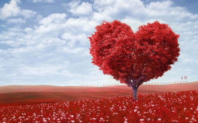 Heart shaped tree field flowers #9 free wallpaper for desktop - medium preview image