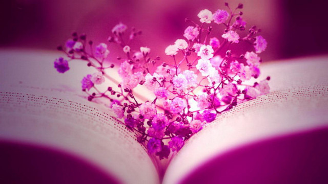 Book flowers blurry background person free wallpaper for desktop - medium preview image