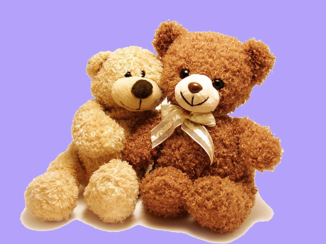 Teddy bears purple background white free wallpaper for desktop - medium preview image