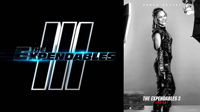 Man woman black white expendables free wallpaper for desktop - medium preview image