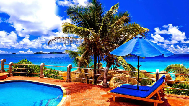 Deck pool blue umbrella palm free wallpaper for desktop - medium preview image