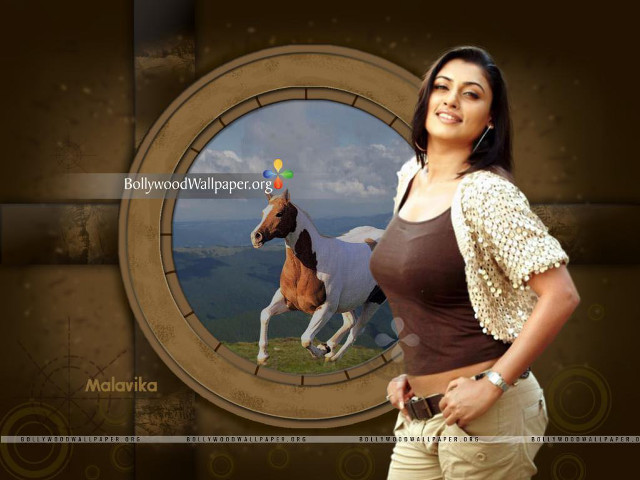 Woman horse brown white background free wallpaper for desktop - medium preview image