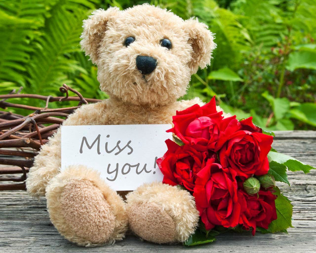 Teddy bear miss you bouquet free wallpaper for desktop - medium preview image