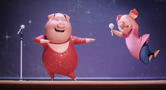 Two pigs performing stage show free wallpaper for desktop - medium preview image