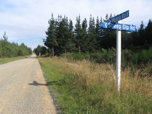 Street sign dirt road forest free wallpaper for desktop - medium preview image