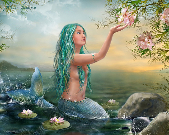 Mermaid longhair rock water lily free wallpaper for desktop - medium preview image