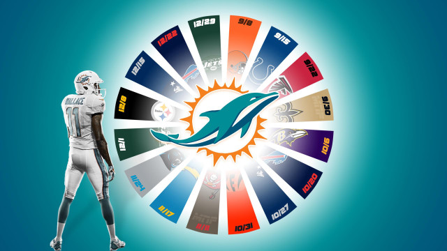 Football player wheel colors dolphins free wallpaper for desktop - medium preview image