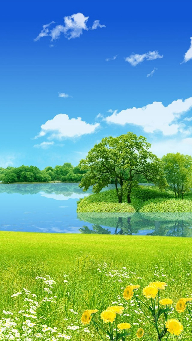 Green field flowers lake blue free wallpaper for mobile - medium preview image