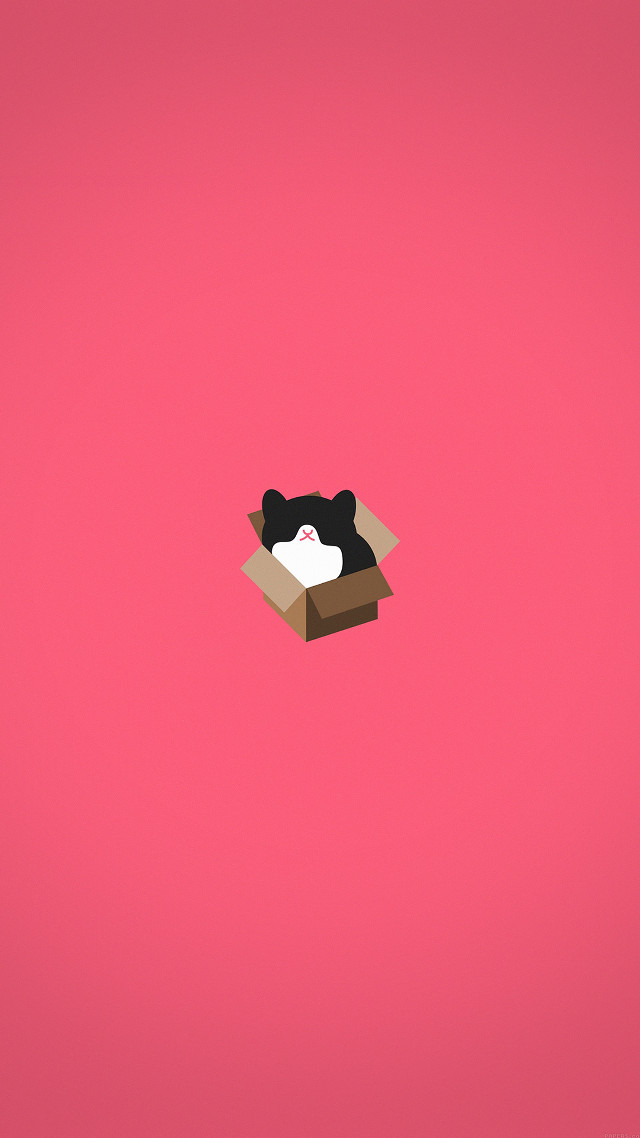 Box cat pink background black free wallpaper for mobile - medium preview image