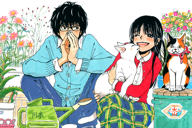 Couple people sitting cat lap free wallpaper for desktop - medium preview image