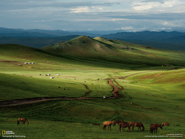 Horses grazing green field mountains free wallpaper for desktop - medium preview image