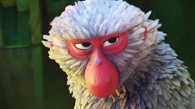 Monkey red nose white hair free wallpaper for desktop - medium preview image