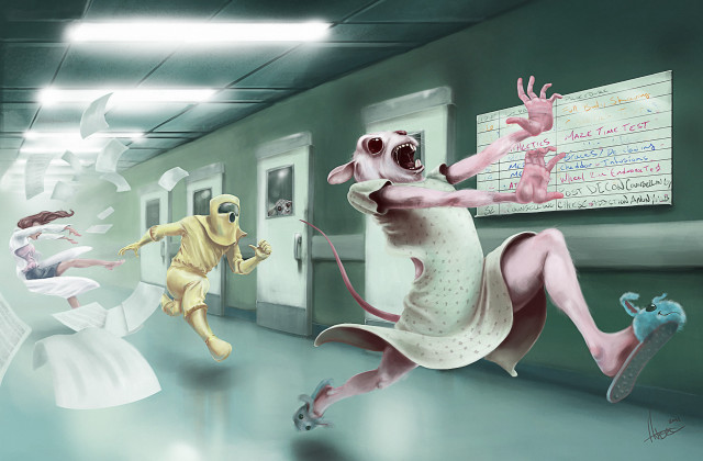 Dog hallway lab coats furry free wallpaper for desktop - medium preview image