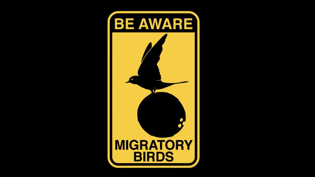 Be aware of migratory birds free wallpaper for desktop - medium preview image