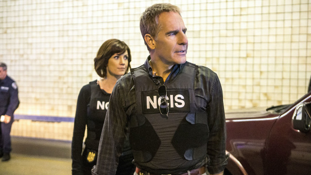 Police uniform portrait antipodeans brown free wallpaper for desktop - medium preview image