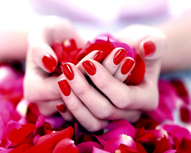 Woman hands red white manicure free wallpaper for desktop - medium preview image