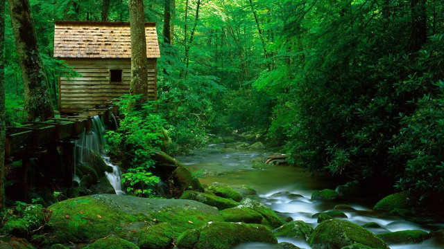 Small cabin forest stream wooden free wallpaper for desktop - medium preview image
