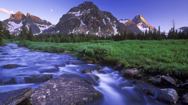 Mountain stream green field forest #2 free wallpaper for desktop - medium preview image