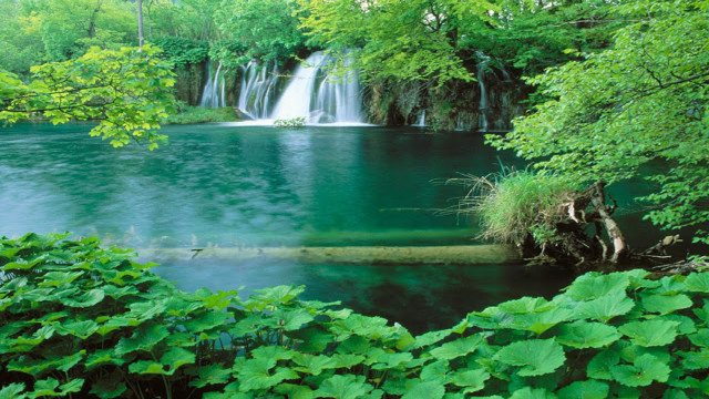 Waterfall forest lake green nature free wallpaper for desktop - medium preview image