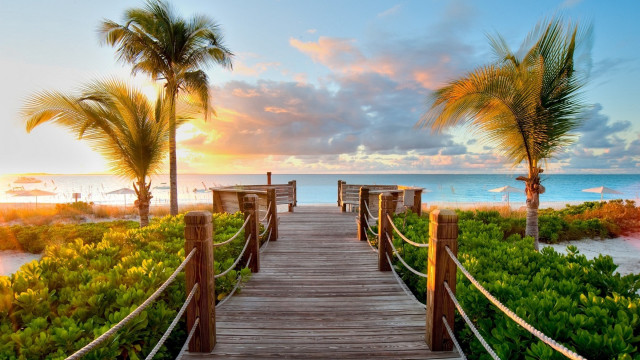 Wooden walkway beach palm trees #3 free wallpaper for desktop - medium preview image