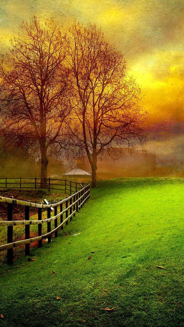 Fence trees field sunset foggy free wallpaper for mobile - medium preview image