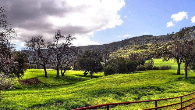 Lush green hillside trees fence #2 free wallpaper for desktop - medium preview image