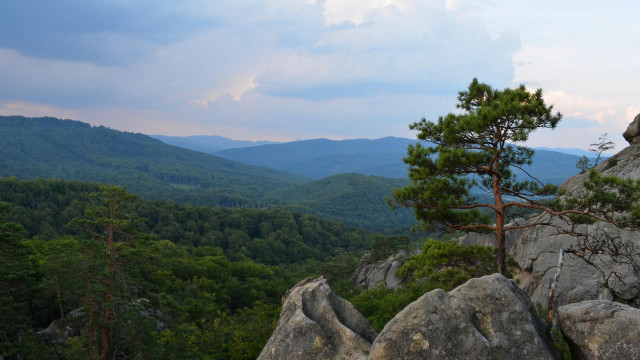 Lone tree rocky outcropping mountains free wallpaper for desktop - medium preview image