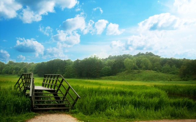 Wooden bench field forest path free wallpaper for desktop - medium preview image