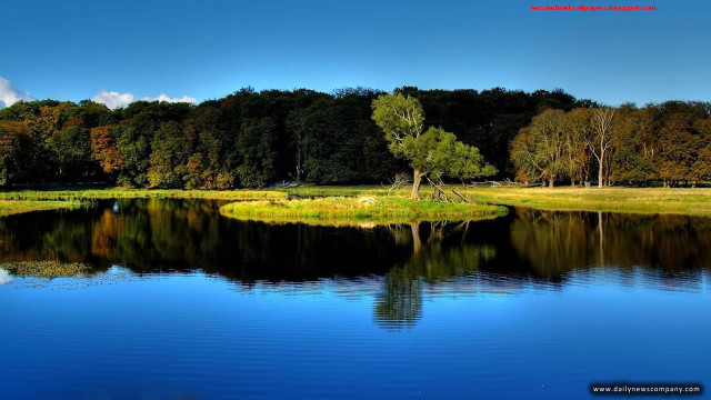 Lake trees grass blue sky #6 free wallpaper for desktop - medium preview image