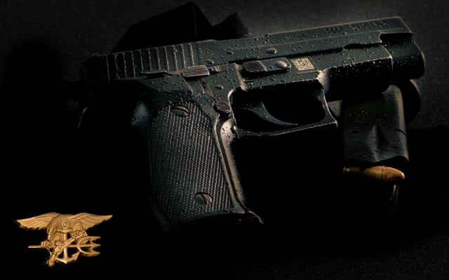 Toy gun gold eagle pin free wallpaper for desktop - medium preview image
