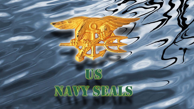 Us navy seal gold eagle free wallpaper for desktop - medium preview image