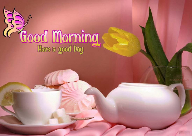 Pink background teapot image #2023 free wallpaper for desktop - medium preview image