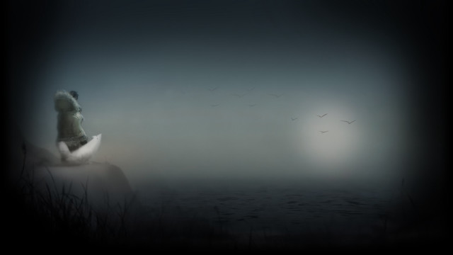 Woman sitting rock water birds free wallpaper for desktop - medium preview image