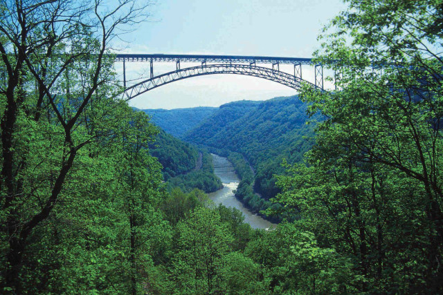 Bridge river forest background water free wallpaper for desktop - medium preview image