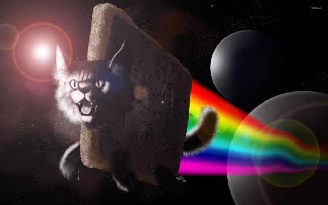 Cat rock rainbow light background free wallpaper for desktop - medium preview image