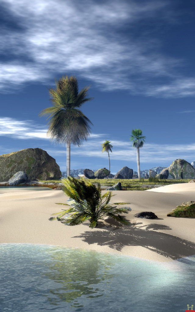 Tropical beach palm trees water free wallpaper for mobile - medium preview image