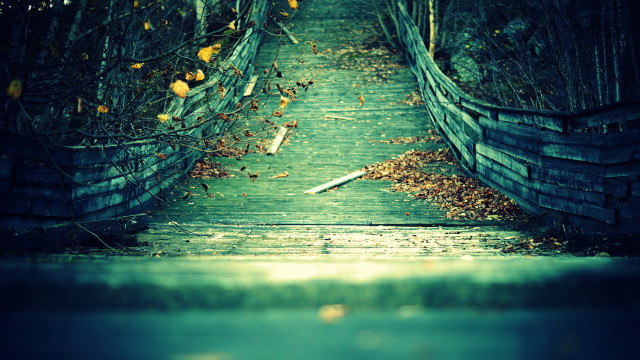 Wooden walkway leaves fence background free wallpaper for desktop - medium preview image
