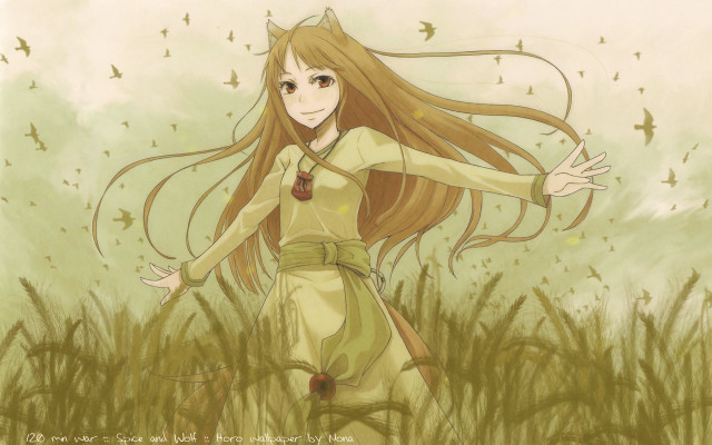 Girl long hair field grass free wallpaper for desktop - medium preview image