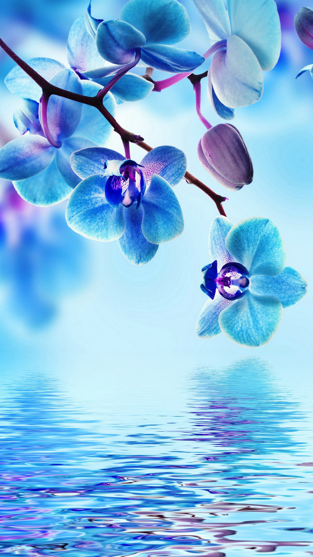Blue flower purple white branch free wallpaper for mobile - medium preview image