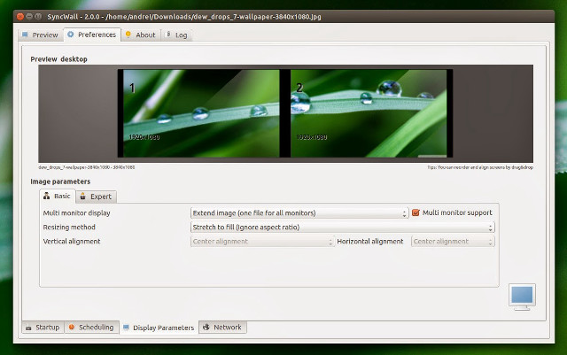 Screenshot plant webpage blurry background free wallpaper for desktop - medium preview image