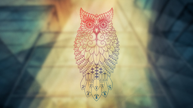 Owl pattern face wings back free wallpaper for desktop - medium preview image