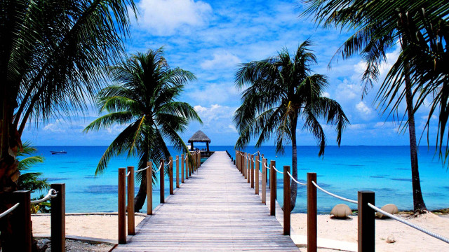 Wooden dock beach palm trees free wallpaper for desktop - medium preview image