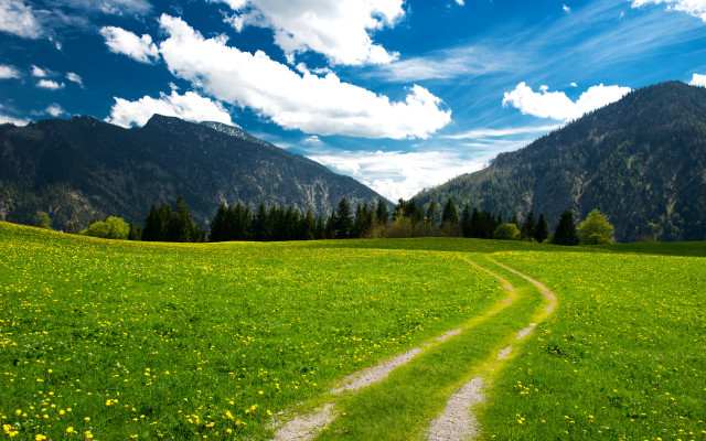 Dirt road green field mountains free wallpaper for desktop - medium preview image