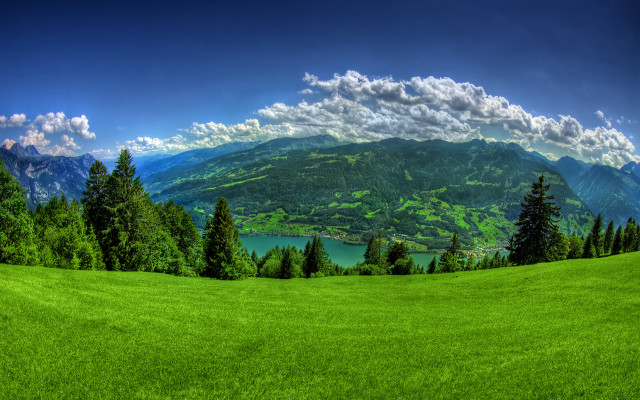 Green field lake mountains trees free wallpaper for desktop - medium preview image