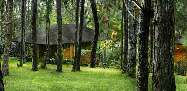Cabin woods pathway forest river free wallpaper for desktop - medium preview image