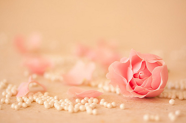 Pink rose pearls tablecloth scattered free wallpaper for desktop - medium preview image