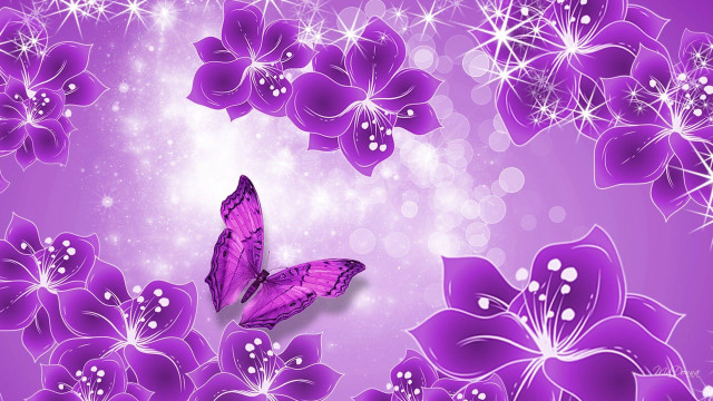 Purple butterfly purple flower white #3 free wallpaper for desktop - medium preview image